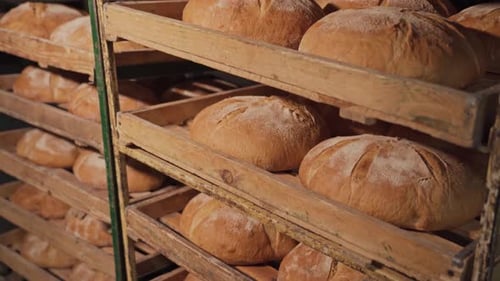 Freshly baked fragrant bread with a ruddy appetizing crust and an interesting pattern. Natural bread