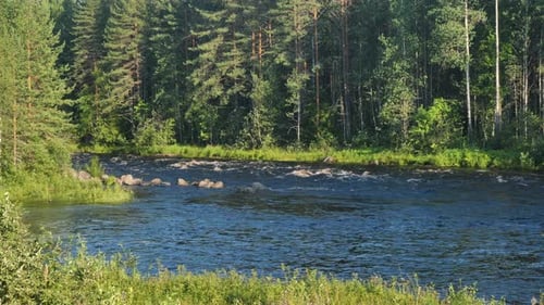 Rocks and rocky rifts on a mountain river in summer. View on the valley and the river.