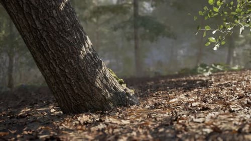 A Leaning Tree Surrounded By Autumn Leaves in a Tranquil Forest Setting