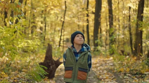 Portrait of a Boy Walking in the Autumn Forest