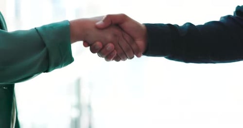 Handshake, welcome or partnership with business people closeup in an office for deal or agreement
