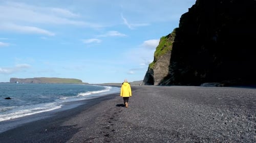 Walking Along the Stunning Black Sands of Reynisfjara Beach in Iceland Under a Clear Blue Sky
