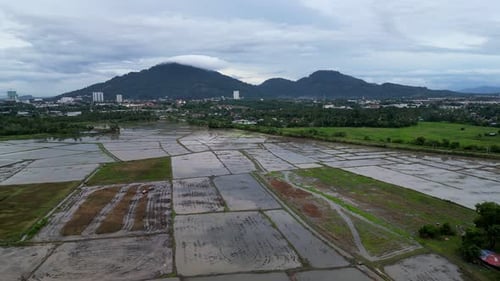 Aerial fly over flooded paddy field