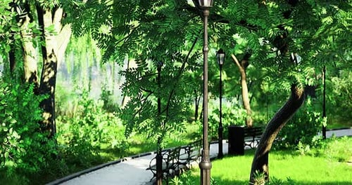Serene Park Setting with Lush Greenery and Pathways During Daytime