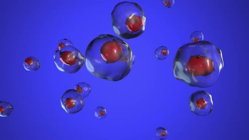Dynamic 3D Microscopic Cells Floating Animation
