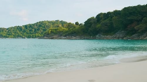 Tropical Sandy Beach with Turuoise Waters Palm Trees and Dense Green Foliage Empty Freedom Beach in