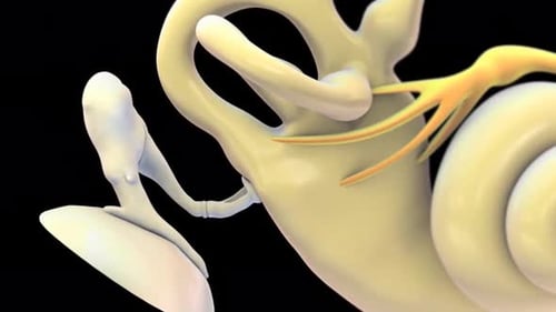 3D Medical Animation of Human Inner Ear and Hearing Process