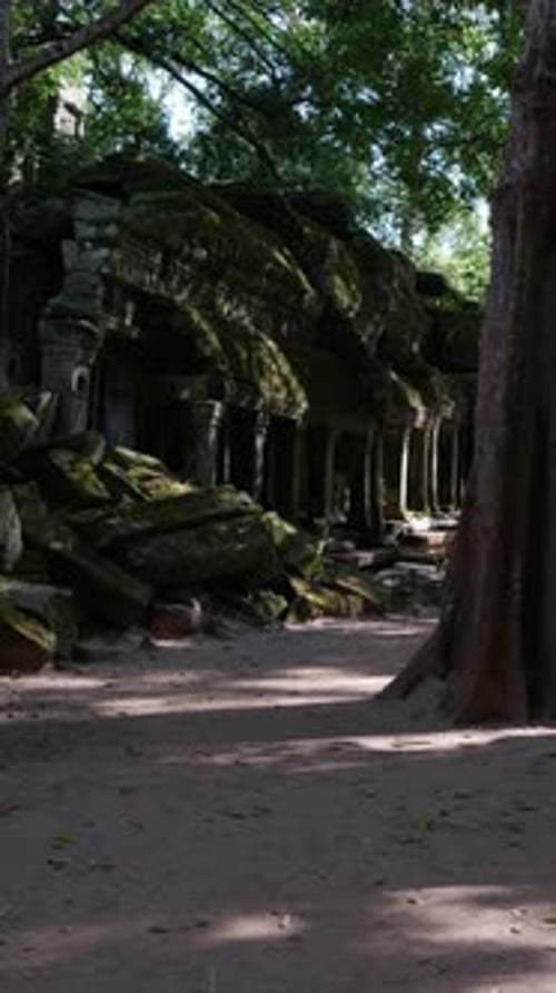 Promenade verticale à travers le chemin extérieur du temple de Ta Prohm