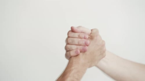 Hand Shake Two Friendly Partners Close-Up . Concept of Connection Colleagues People