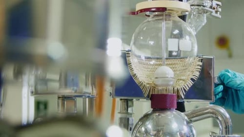 Lab Assistant Prepares Equipment in Laboratory Closeup