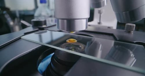 Close Up of Chemist Setting Up Microscope for Analysis