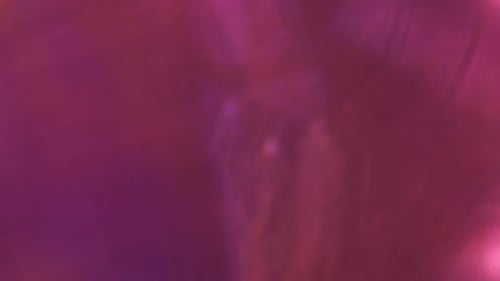 Abstract Background with Blurred Lights and Colors