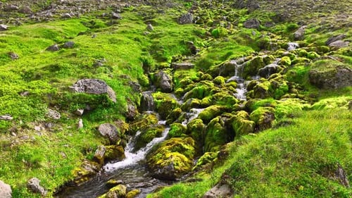 Rauschende Wasserkaskaden über Felsen in einem Gebirgsbach, umgeben von üppigem grünem Gras und Moos