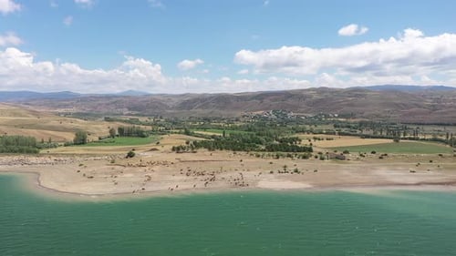 Aerial View Of Cows By The Lake And Village In The Distance