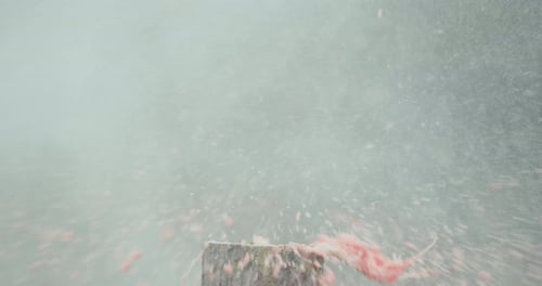 Exploding Watermelon in an Outdoor Setting