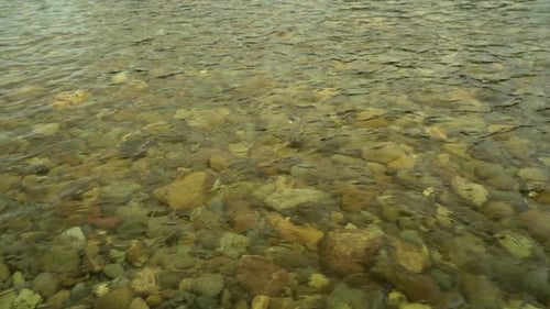 Clear River Water Flowing Over Rocks