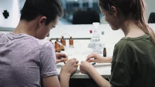 Group of children practice chemistry at school