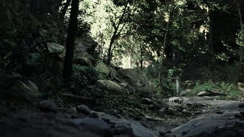 Dirt Road Surrounded By Rocky Forest