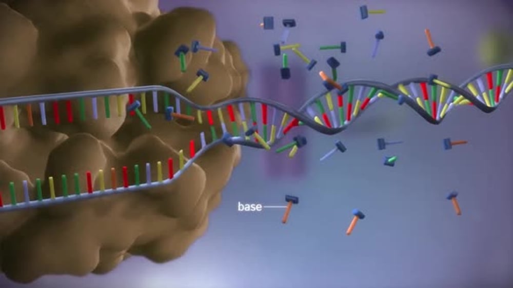 RNA Synthesis from DNA Template by RNA Polymerase, Backgrounds Motion