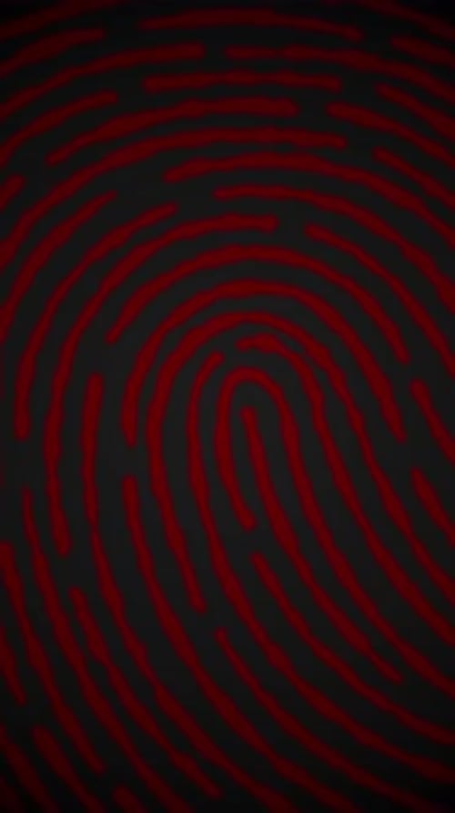Animated Red Fingerprint Reveal for Security and Identity