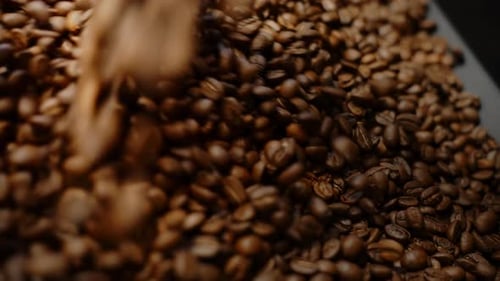 Close Up of Coffee Beans in Roaster