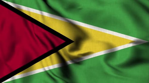 Guyana National Flag Waving Seamless Loop Background