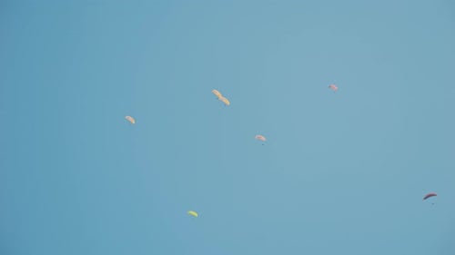 Paragliding Adventure Sport
