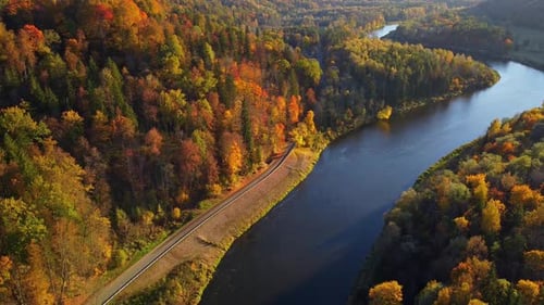 Aerial shot of Sigulda's Gauja River in autumn, vibrant forests and scenic road