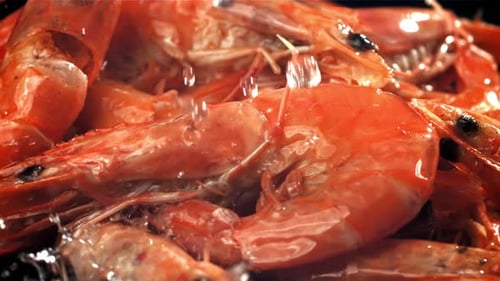 Drops of Water Drip Onto Fresh Shrimp Filmed on a Highspeed Camera at 1000 Fps
