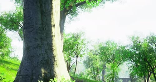 Majestic Tree Stands Tall Amidst a Lush Green Landscape on a Sunny Day