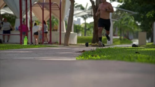 Man Jogging on Path Through Green Park on Sunny Day