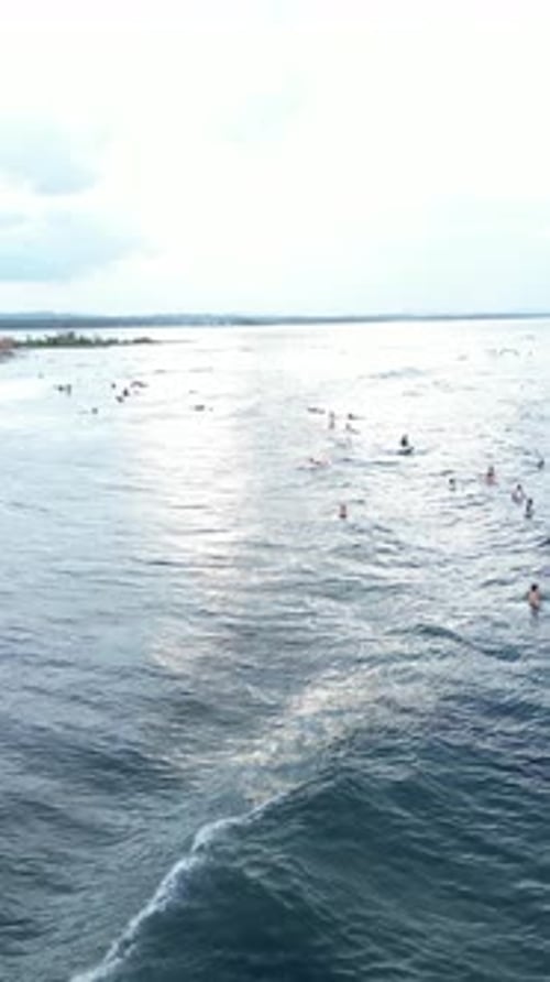 Aerial view of surfers in the water, Philippines.