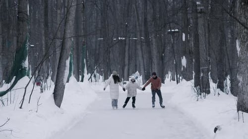 Mom Son and Dad are Skating Holding Hands on the Snowcovered Path of the Skating Rink Which is
