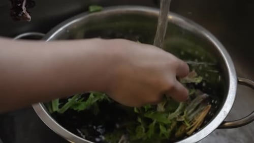 Female Chef Placing Lettuce Leaves Into Metal Colander With Water Pouring Over. Slow Motion