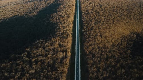 Luftaufnahme von Autos, die auf der Straße mitten im Wald unterwegs sind