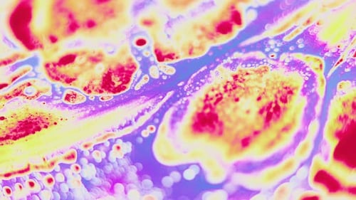 Colorful Abstract Fluid Patterns Design Background