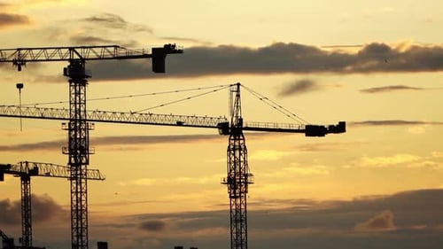 Cranes Silhouetted Against a Golden Sky