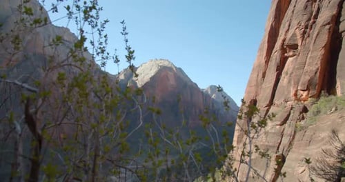 Beautiful Zion National Park Active Adventure