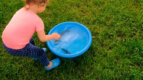 A Child Plays with Fish in a Bowl Selective Focus
