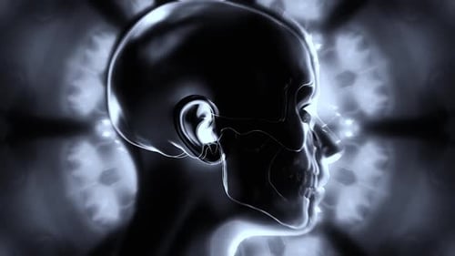 Human Energetic Field