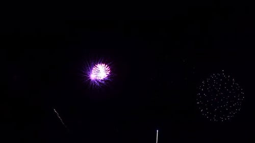 Violette und rosafarbene Feuerwerke mit grünen Zentren explodieren in Lichtschauern.