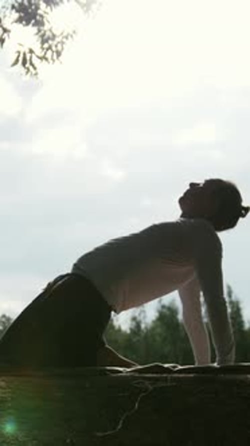 Silhouette de sportifs de yoga fait de l'exercice à Morning Park