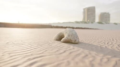 Old White Coral on Sand Beach