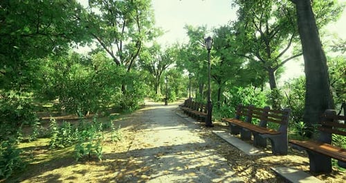 Quiet Afternoon Stroll Through a Sunlit Park with Benches and Greenery
