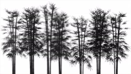 Schleife aus Bambusbaum-Silhouetten mit beweglichen Blättern und Schärfentiefe