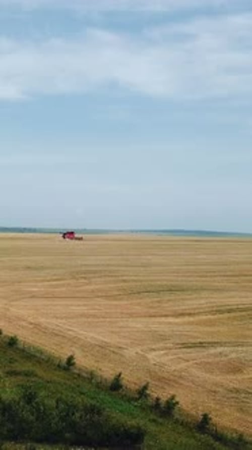 Aerial view on the combines and tractors working on the large wheat field. Wheat Harvesting.