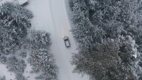 Car Driving Through Snowy Forest Aerial View