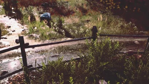 Old Wooden Fence and Dirt Road in the Countryside at Summer Season