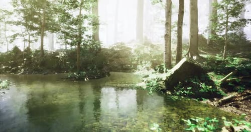 Serene Forest Landscape with Tranquil Water and Vibrant Greenery