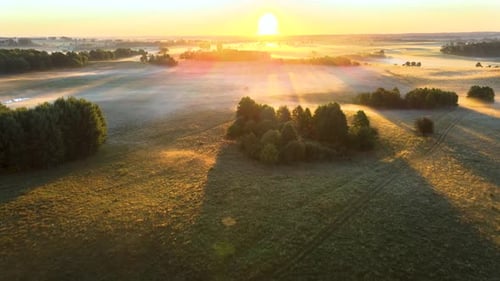 Aerial wide shot over a foggy meadow with trees and golden sunbeams at dawn